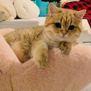 Meet your Posher, Hau